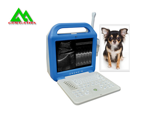 中国 牛カラスの鳴き声犬動物のための携帯用完全なデジタル獣医の超音波の走査器 サプライヤー