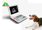 牛カラスの鳴き声犬動物のための携帯用完全なデジタル獣医の超音波の走査器 サプライヤー